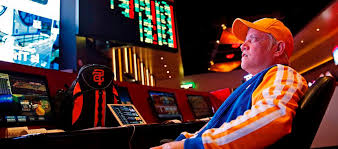 Вход на официальный сайт BitZamo Casino